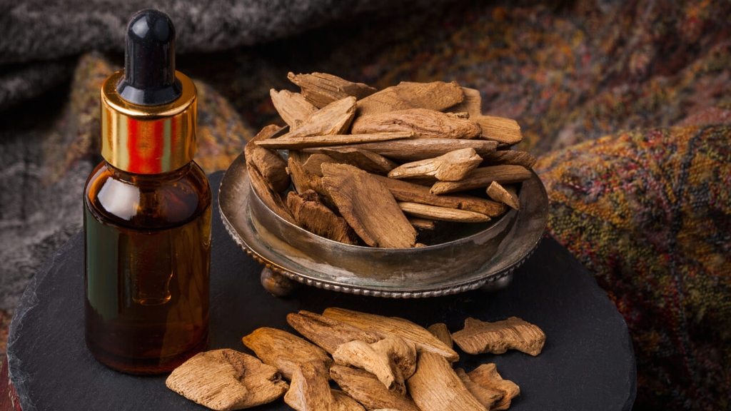Agarwood and the world