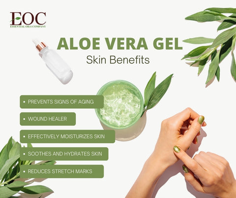 aloe vera gel for healthy skin