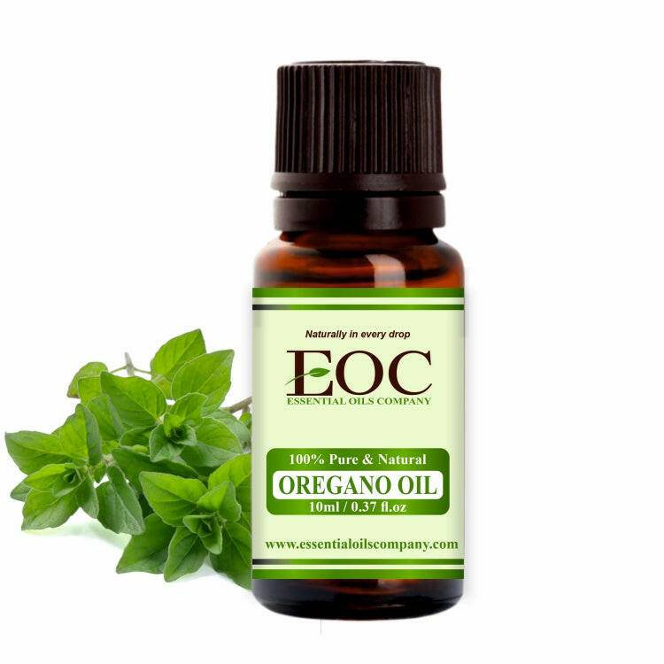 Oil of Oregano Near Me Benefits of Local Wellness Oil of Oregano Near Me Benefits of Local Wellness