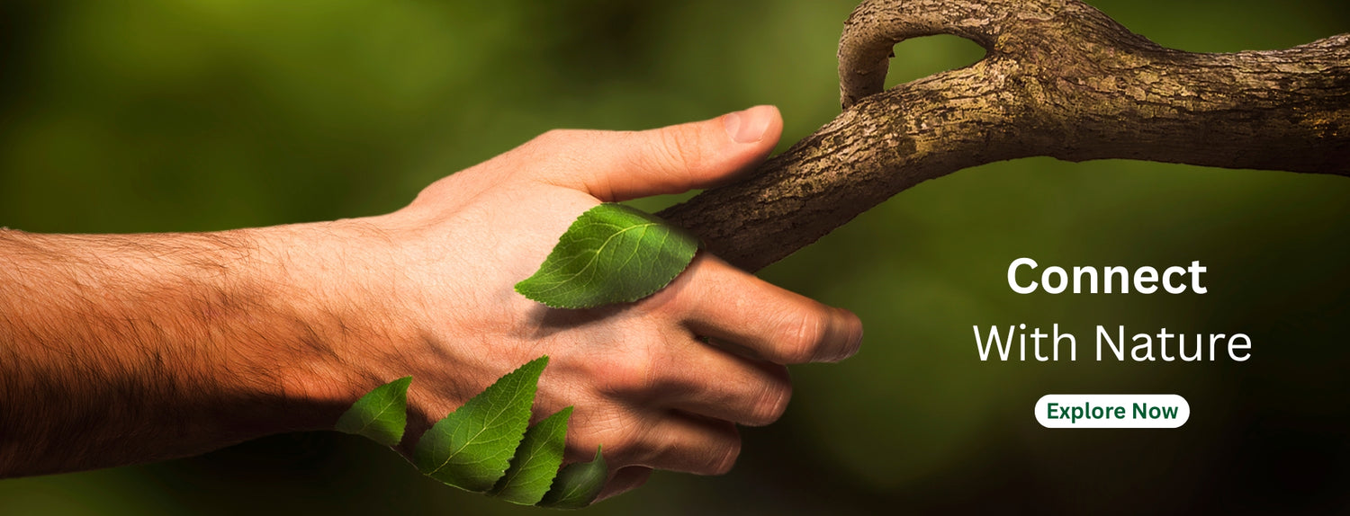 Connect With Nature