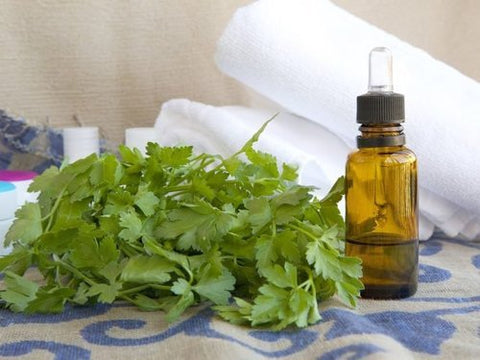Parsley Seed Oil - Essential Oils Company