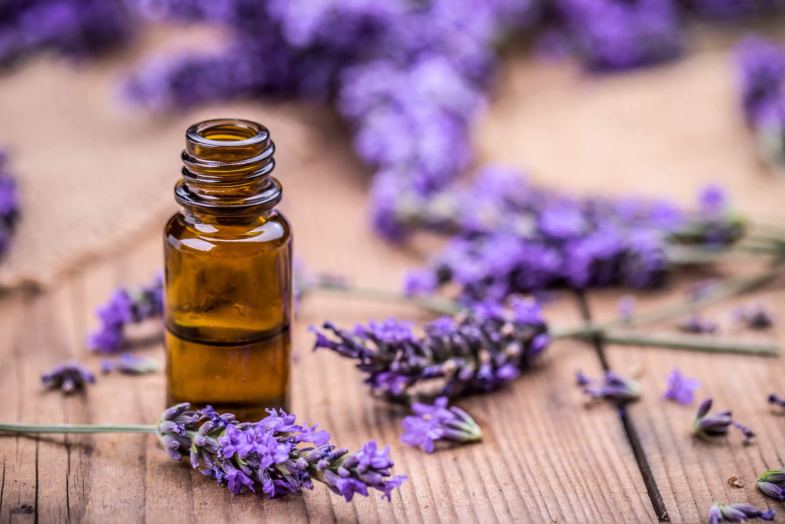 Lavender Oil Important and Precautions