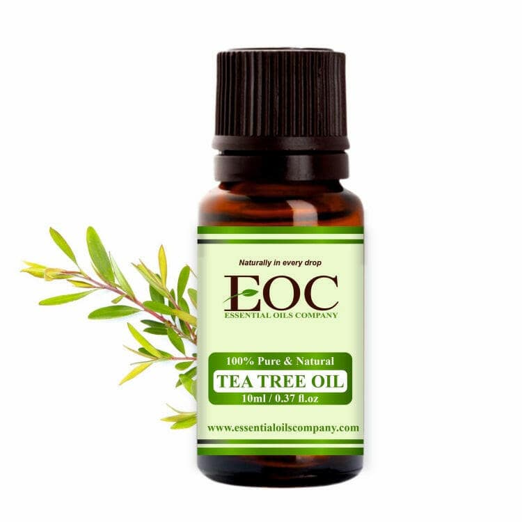 Tea Tree Oil | Pure Melaleuca alternifolia | Steam Distilled | COA ...