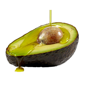 Avocado Oil - Essential Oils Company
