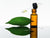Bay Leaf Oil - Essential Oils Company