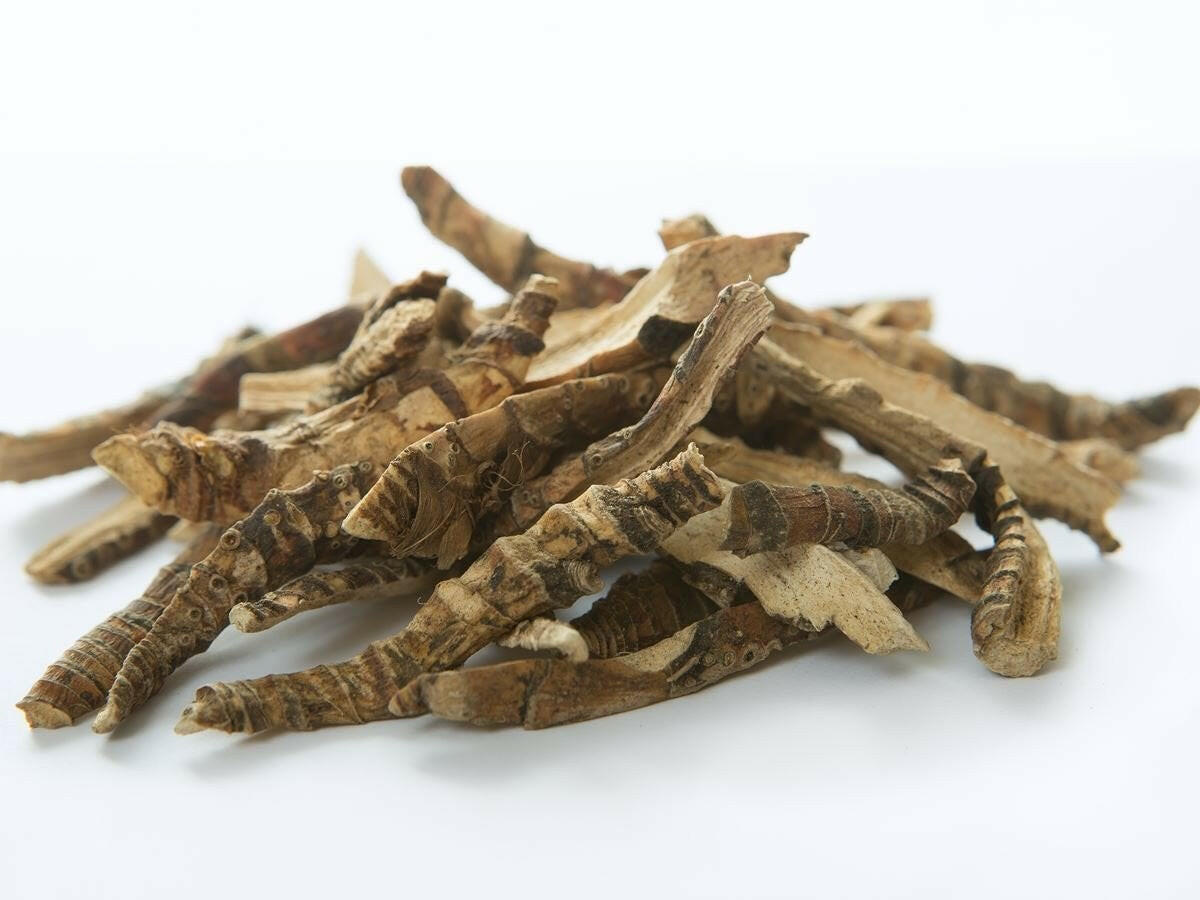 Calamus Oil, Calamus Uses and Benefits, Calamus Oil Wholesale Essential Oils Company