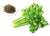 Celery Seed Oil - Essential Oils Company