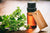 Citronella Oil (Java) - R. K. Essential Oils Company, India