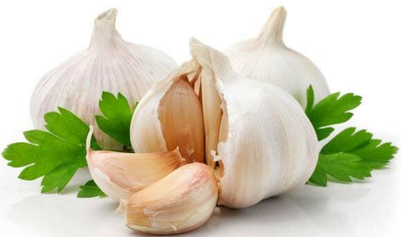 Garlic Oil - Essential Oils Company