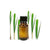 Ginger Grass Oil - Essential Oils Company