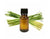 Lemongrass Oil - Essential Oils Company