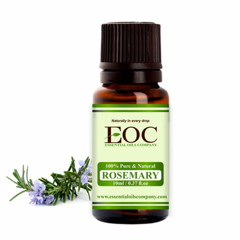 Rosemary Oil - Essential Oils Company
