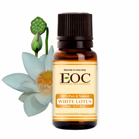 White Lotus Absolute - Essential Oils Company