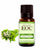 Angelica Oil STD Manufacturer - Essential Oils Company, India