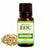 Angelica Root Oil - R. K. Essential Oils Company, India