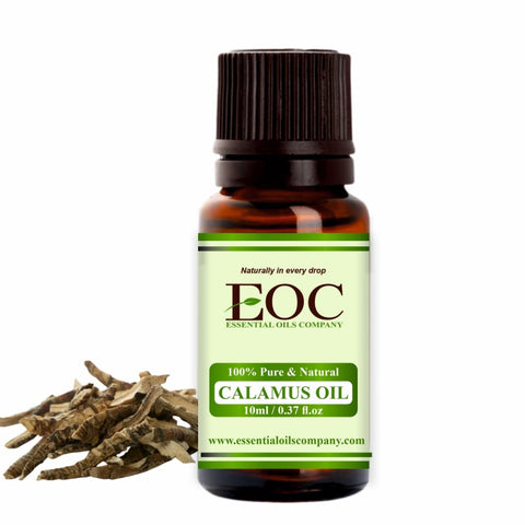 Calamus Oil - Essential Oils Company