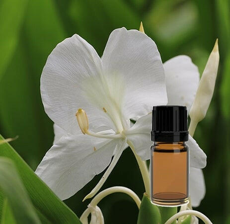 Ginger Lily, Ginger Lily Absolute Uses and Benefits, Ginger