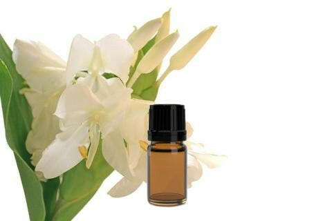 white lily essential oil Lily Absolute Uses and Benefits, Lily Oil Wholesale – Essential Oils Company