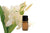 Lily Absolute - R. K. Essential Oils Company, India