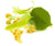 Linden Blossom Absolute - R. K. Essential Oils Company, India