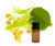 Linden Blossom Absolute - Essential Oils Company