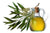 Tea Tree Oil - Essential Oils Company