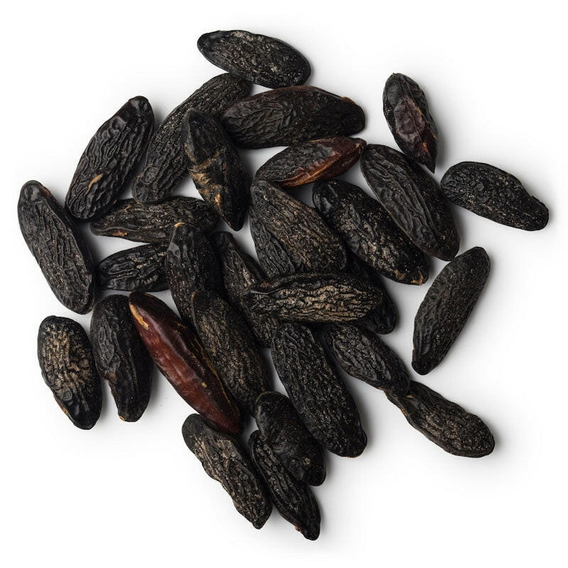 Tonka Bean Essential Oils Company