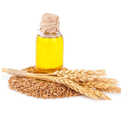 Wheat Germ Oil - Essential Oils Company